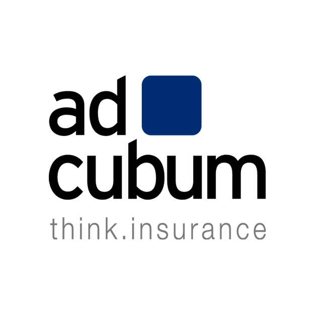 Partner: Adcubum