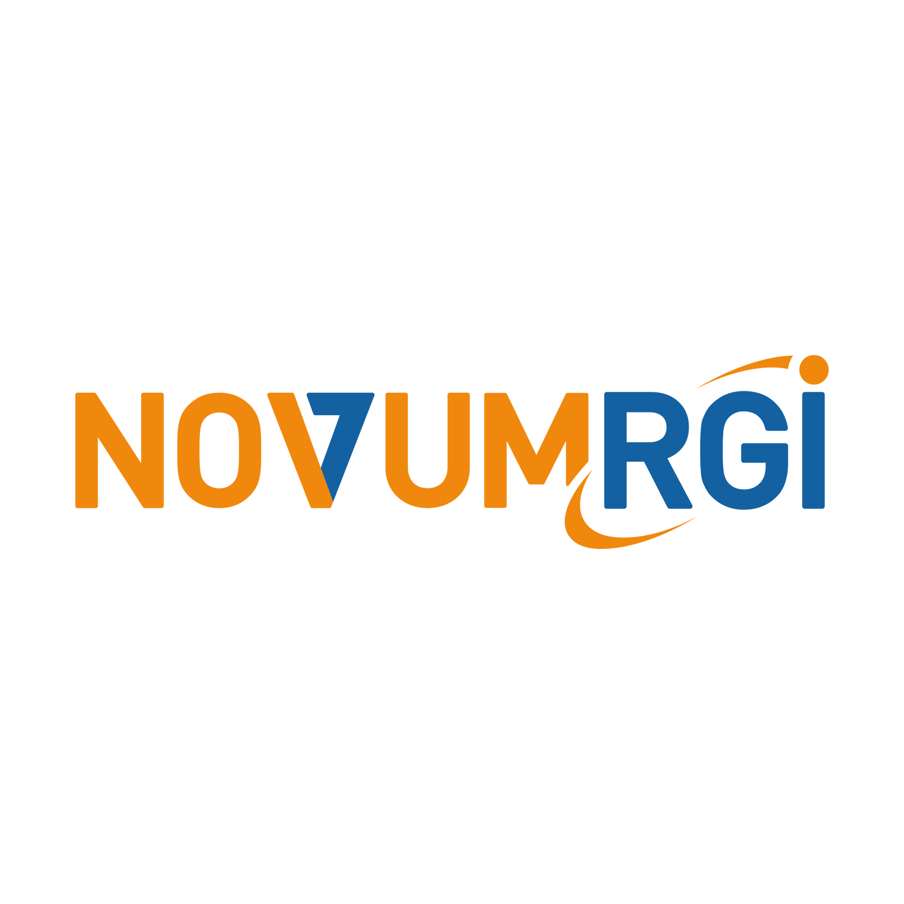 Partnerlogo Novum-RGI IT für Versicherer