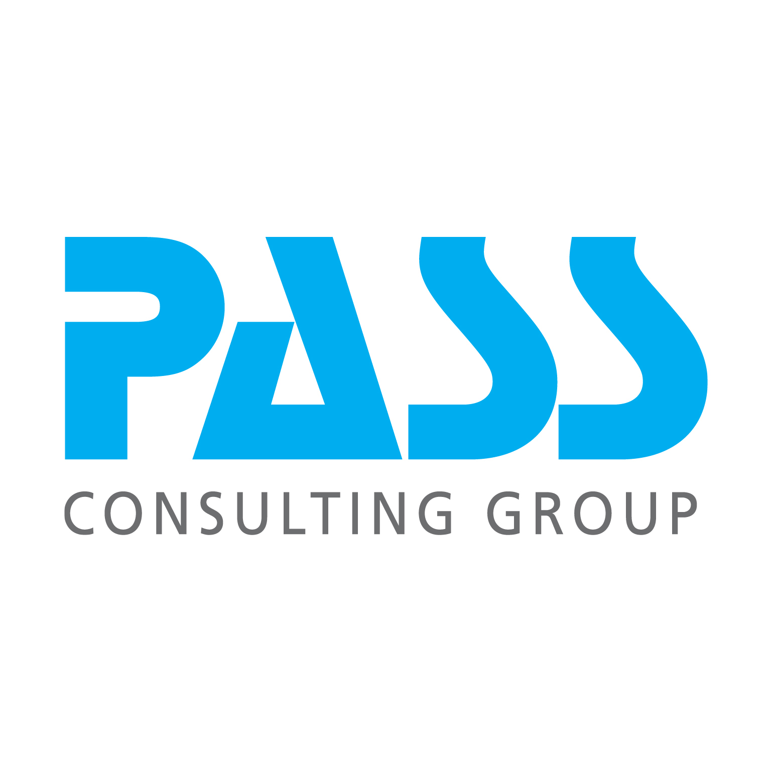 Partnerlogo PASS Consulting Group