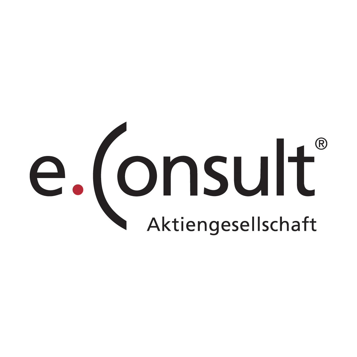 Partnerlogo Berater e.Consult AG