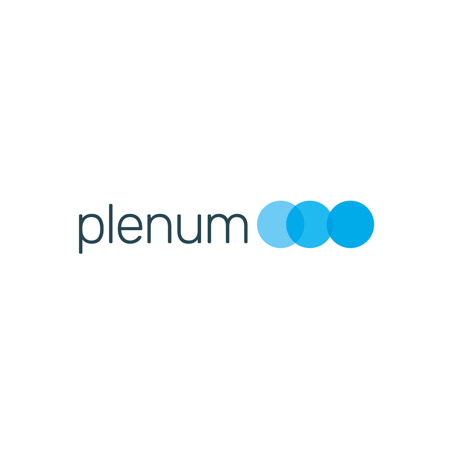 Partnerlogo plenum AG Management Consulting