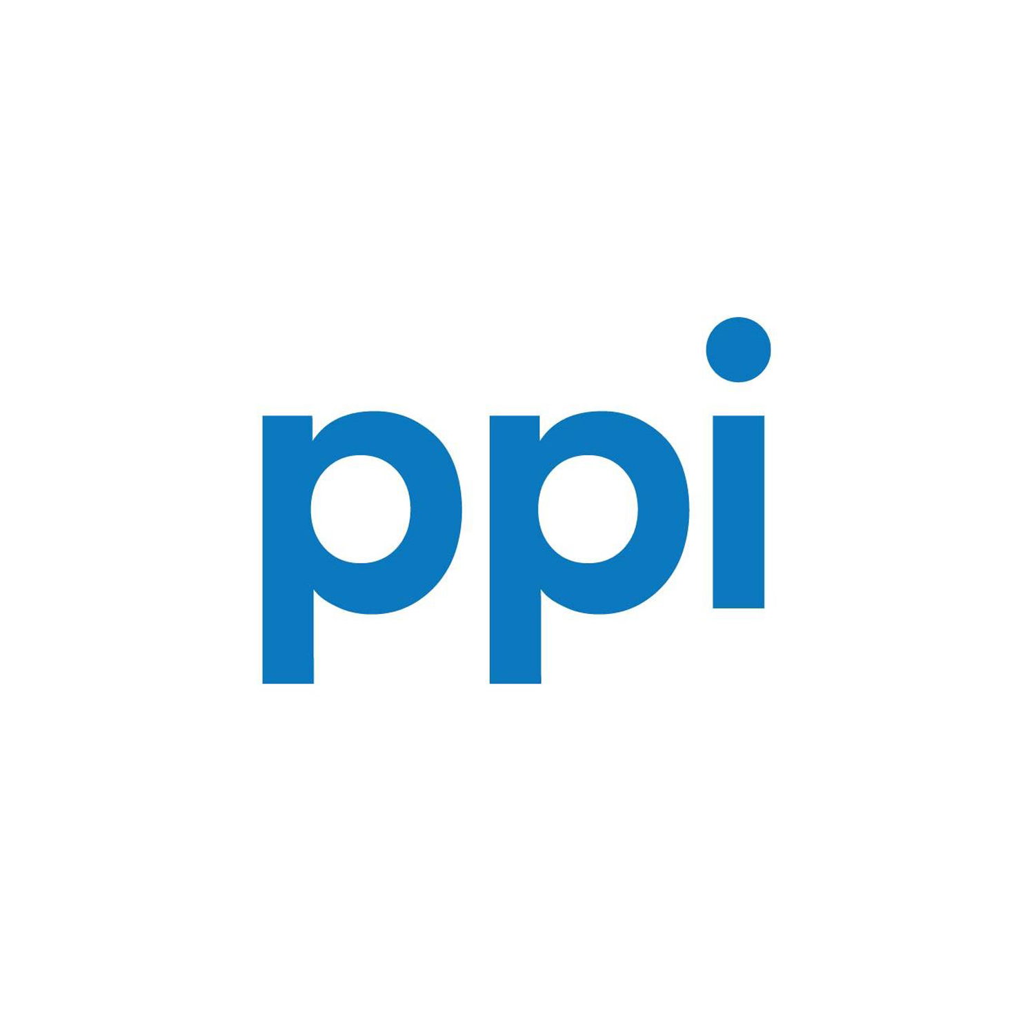 Partnerlogo PPI AG