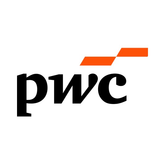 Partnerlogo Pricewaterhouse Coopers GmbH Wirtschaftsprüfungsgesellschaft